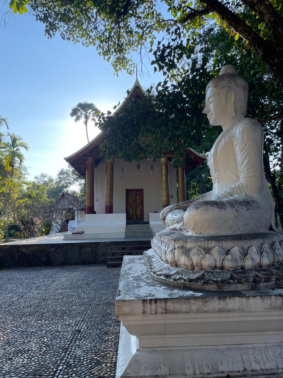 Wat Khokpap – Chomphet District’s Most Hidden Trail