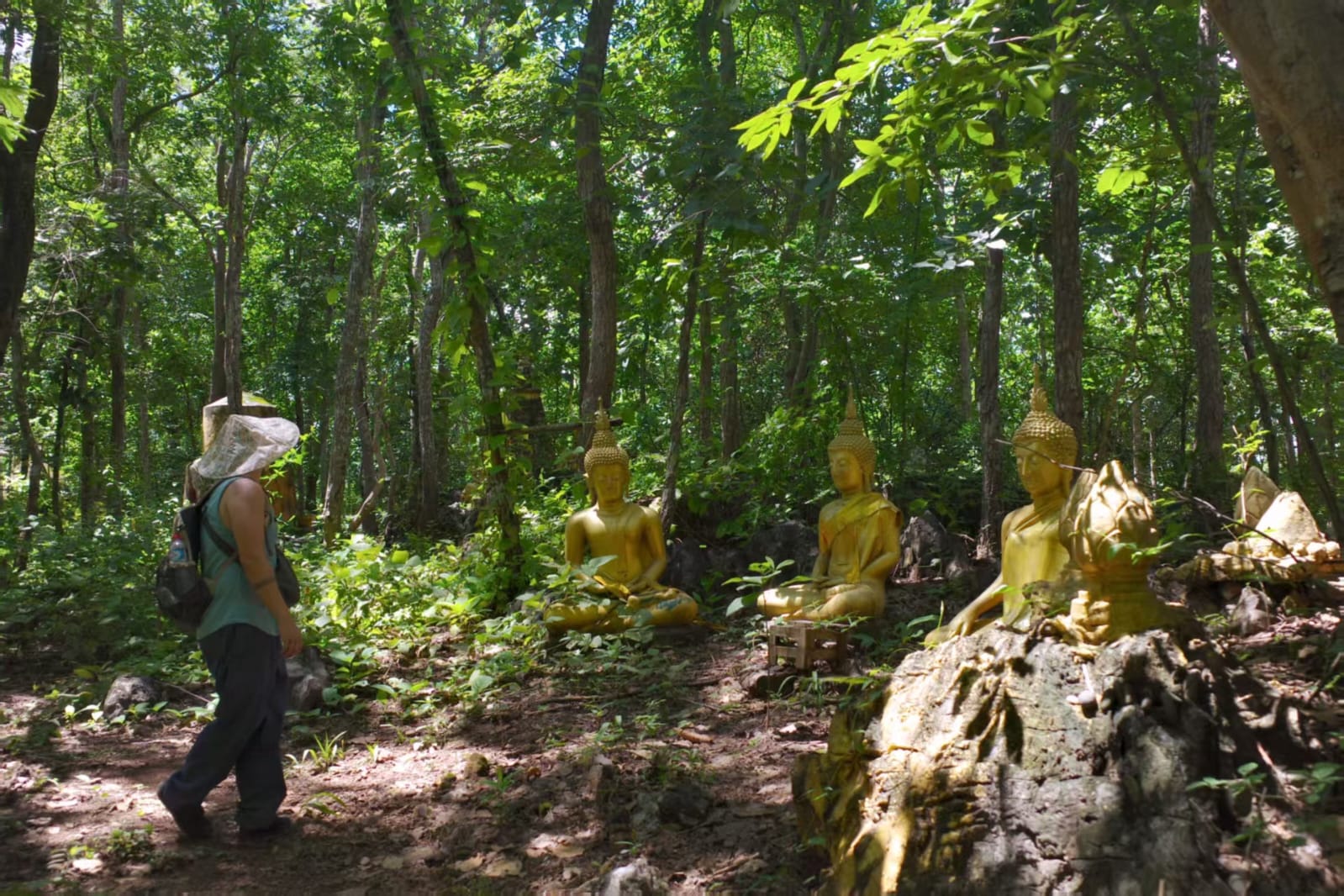 Gold Buddha statues in a forest