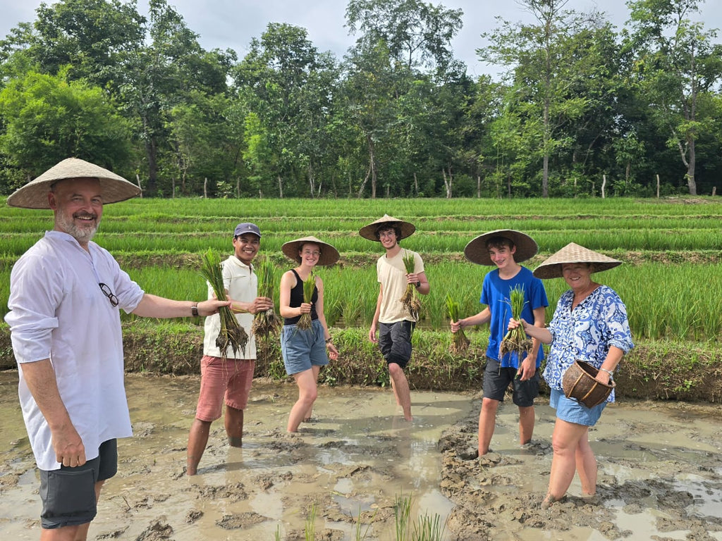 Group of people in a rice paddy holding plants, with a scenic background of trees and greenery.