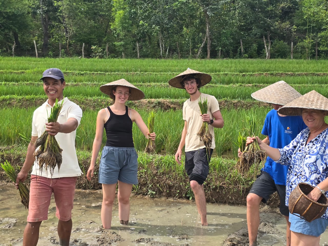 Group of people in a rice paddy wearing hats and holding plants.