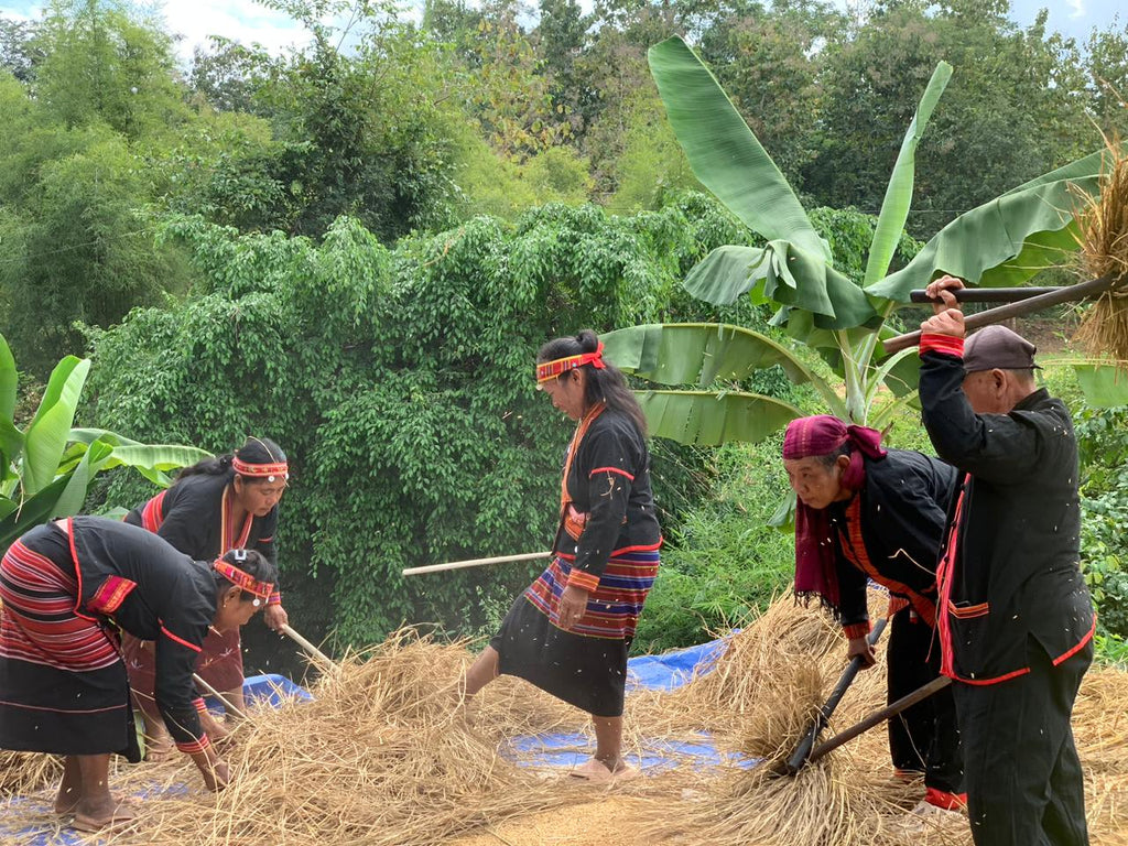 Group of people in traditional attire working with straw in a lush green outdoor setting