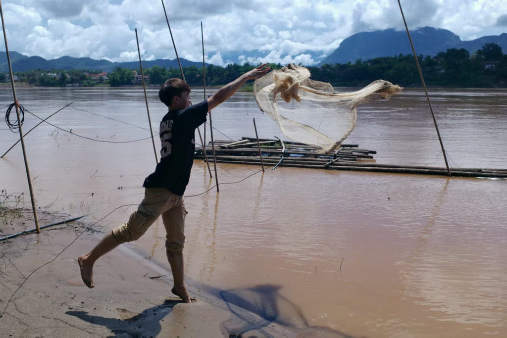 Local Catching FIsh in Xiengman Village