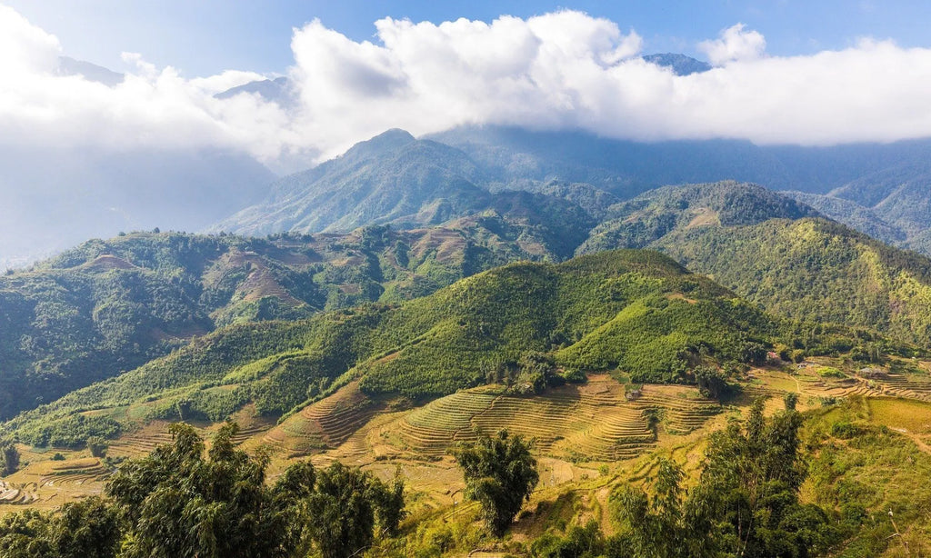 10-Day Vietnam to Laos Mountain Discovery
